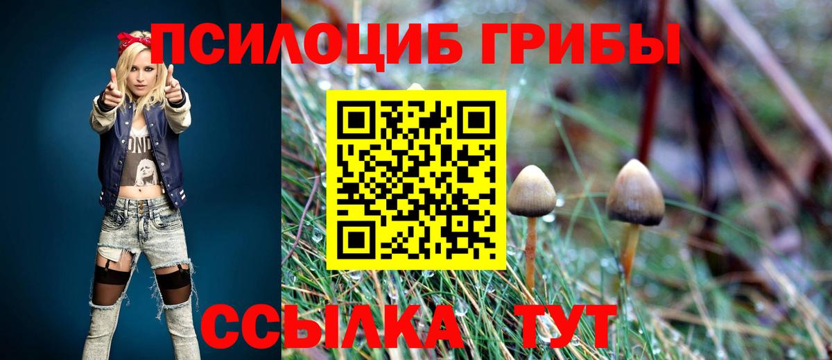 Галлюциногенные грибы Psilocybe  Псилоцибиновые грибы Cubensis  Вход с VPN  Соль-Илецк 