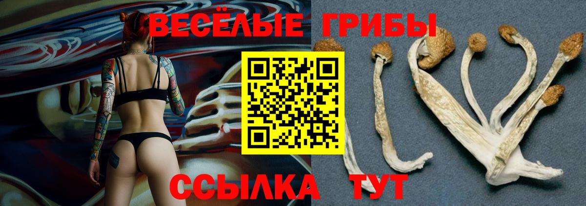 Галлюциногенные грибы прущие грибы Соль-Илецк